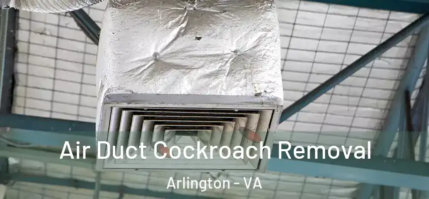 Air Duct Cockroach Removal Arlington - VA