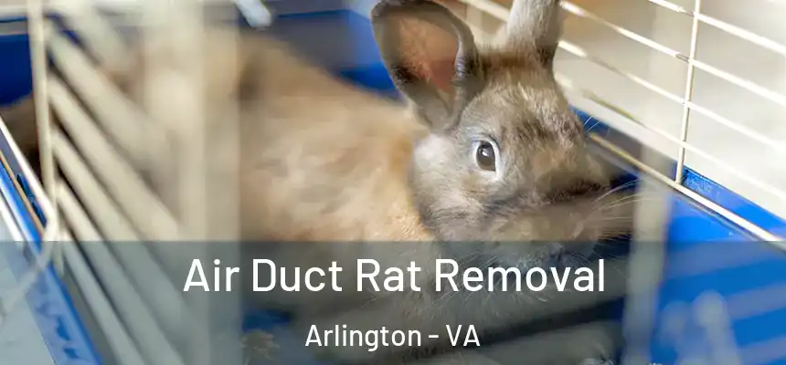  Air Duct Rat Removal Arlington - VA