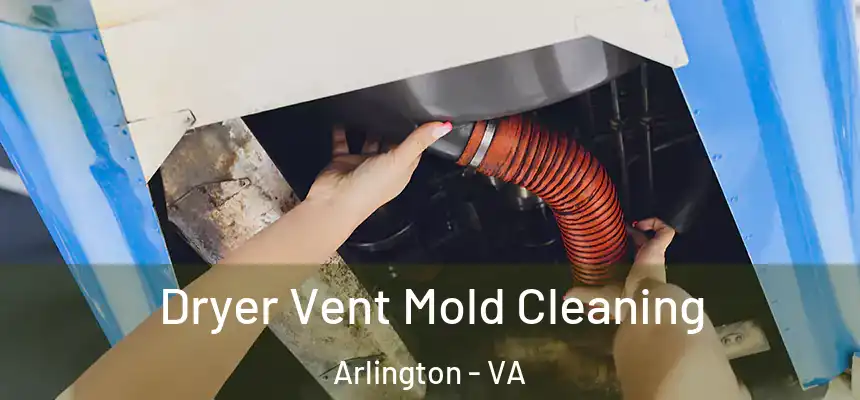  Dryer Vent Mold Cleaning Arlington - VA