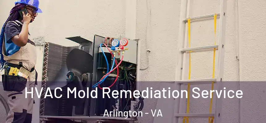  HVAC Mold Remediation Service Arlington - VA
