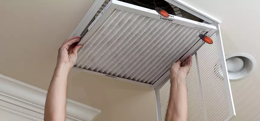 Preventive Cockroach-Proofing for Ducts in Arlington