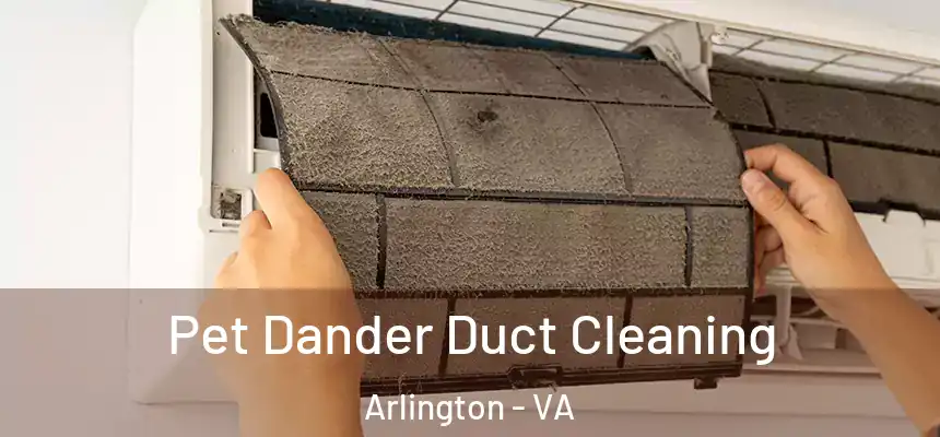 Pet Dander Duct Cleaning Arlington - VA