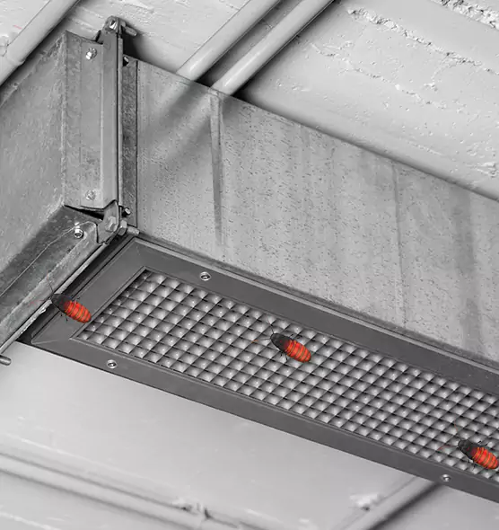 About Air Duct Cockroach Removal in Arlington, VA