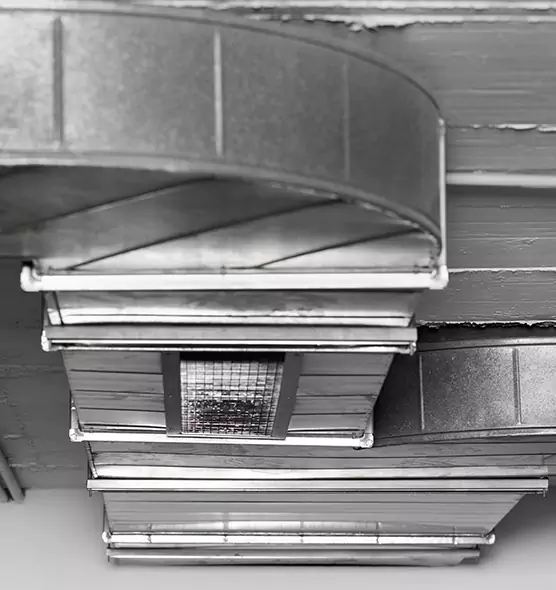 Professional Air Duct Pest Removal in Arlington, VA