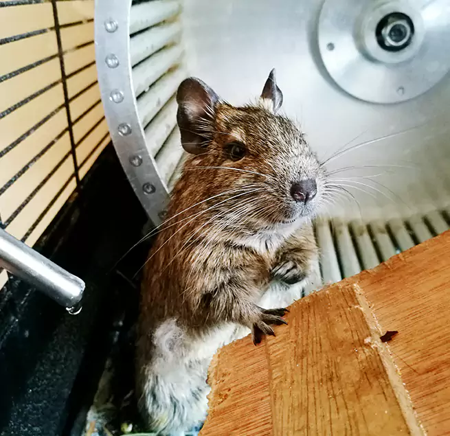 Why Homeowners & Businesses Trust Us Arlington, VA