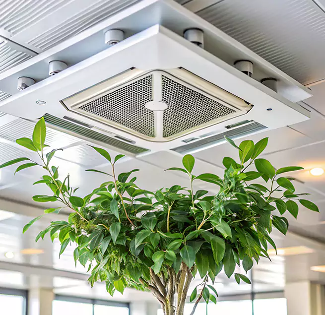 Why Homeowners & Businesses Trust Us in Arlington, VA