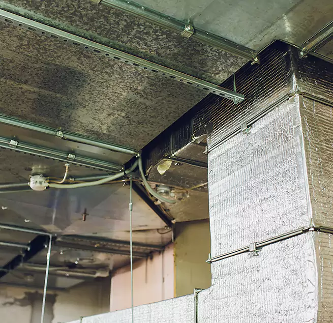 Why Homeowners & Businesses Trust Us in Arlington, VA?